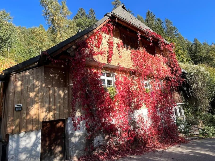 Ferienwohnung Auszeit Am Kreisbach Triberg im Schwarzwald Exterior foto